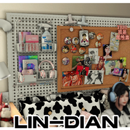 LIN-DIAN_Perforated Board Decor