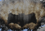 Arkham Adventures logo