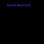 Squids backyard logo