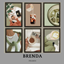 BRENDA FRAMES logo