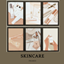 SKINCARE FRAMES logo