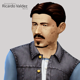 "The Curator" Ricardo Valdez (No CC)