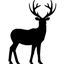 rcMD logo