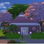 Pink Cherry Cottage