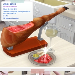 Iberian Ham by ONI Spanish translation