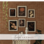Emily frames logo