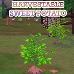 🍠✨ Sweet Potato by icemunmun Spanish Translation -ES ✨