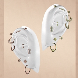 Sofia Earrings project image