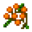 Berries and More logo
