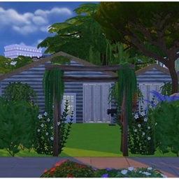 Cathy's Cabin