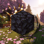 The Eclipse Pack logo