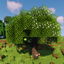 Dynamic Trees for Terra Incognita logo