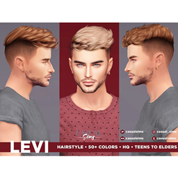 CasualSims - Levi Hairstyle