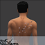 Stars Forever Tattoo logo