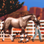 Western Showmanship logo