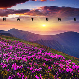 Nature Enhanced logo