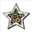 Create: Starlight Zone logo