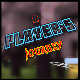 A Player's Journey project image