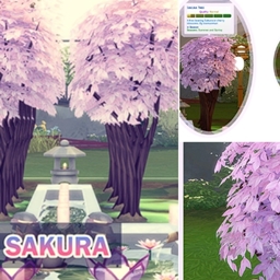 ✨ Cherry Blossom by icemunmun Spanish translation -ES ✨