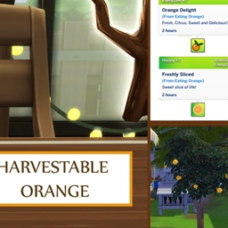 ✨ Growable Orange by icemunmun Spanish translation -ES ✨