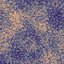 Regional Ore Veins logo