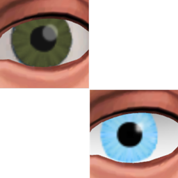 Assumes eye set project image