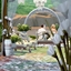 Wedding in Selvadorada | No CC logo