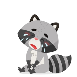 No Racoon logo