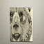 [HCDS] Paints Collection (Animal Lovers) logo