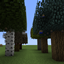 Apricorn Tree Farm logo