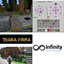 Terra Firma Infinity Technology logo