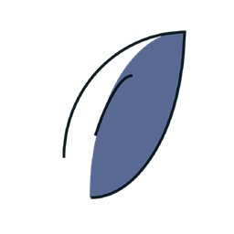 project avatar