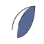 Global Capes logo
