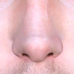 Male Nose Preset 1-6 logo