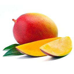 MangoTime logo