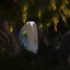 Cave Nights logo