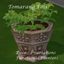 Tomarang Deco Pots & Planters logo
