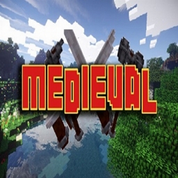 Will u suvive (Medeivel times) project image