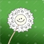 Clipart Dandelion logo