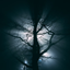 The Nights of Death logo