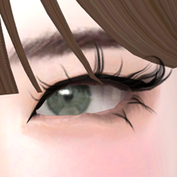 [Learxfl] Eyeliner N14