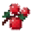 Ribes Adventures logo