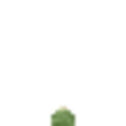 CactusForaging logo