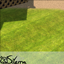 Little Green Grass logo