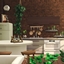 Green Plants Apartment | No CC