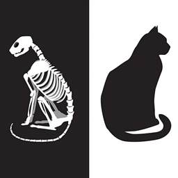 Schrödinger’sCrAfT logo