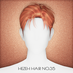 [Hezeh] Hair_No.35
