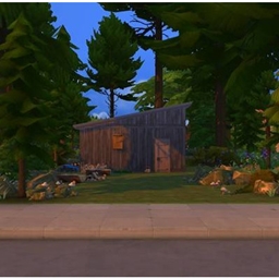 Pine Shack