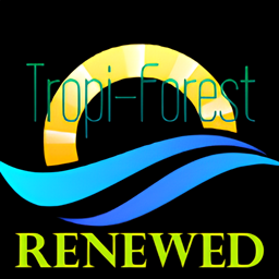 Tropi-Forest Renewed