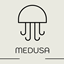 MedusaChatArrowKey logo